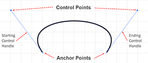 Control Handle, Control Points, and Anchor Points